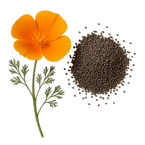 California Poppy Seed ingredient